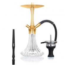 Aladin MVP A36 - Gold Clear